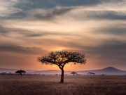 Россия и Танзания подписали соглашение о воздушном сообщении