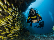 Турагентам раскрыли секреты продвижения в соцсетях на примере Мальдив