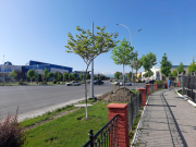 В Фергане создадут туристическое кольцо