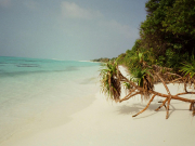 У российских туристов появилось больше вариантов рейсов до Мальдив и Европы