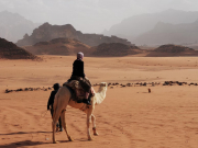 Россия и Иордания планируют ввести безвизовый режим