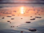 В Таиланде мазут на пляжах, в Турции — попытки спасти зимний сезон