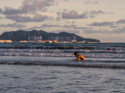 Названа дата вывоза застрявших в Хайкоу российских туристов