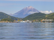 Директора авиакомпании уволили после крушения вертолета МИ-8 на Камчатке