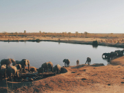 Африканская страна может в ноябре отменить визы для российских туристов