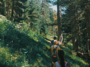 «Медведь забрался в глэмпинг»: с российскими туристами стали чаще происходить ЧП