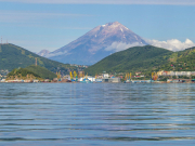 Бронирования экскурсионных туров на Камчатку встали