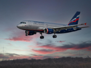 Мороженое с осколками в бизнес-классе «Аэрофлота»: разбор юриста