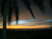 На Шри-Ланке арестовали россиян. Туристов призвали проверить документы