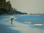 Россия подписала соглашение о запуске чартеров с Танзанией