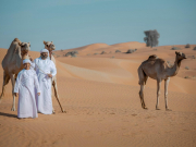 Рейсов в ОАЭ перед Новым годом станет еще больше