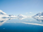 Пассажирка не дошедшего до Антарктиды круизного лайнера прекратила голодовку