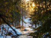 Рост цен на новогодние туры в Карелию достигает 25%