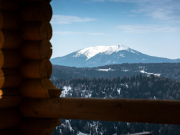 Отельеры и жители села Манжерок на Алтае пытаются спасти свои объекты от сноса