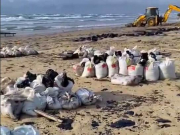 «Запах стоит ужасный»: как очищают пляжи Анапы