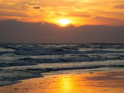 На пляжах Анапы можно будет отдыхать: океанолог — о последствиях разлива мазута