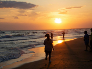 Доступ к морю ограничат: в Госдуме призвали сохранить детские лагеря в Анапе