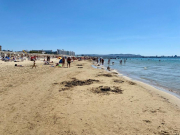 Пляжи Анапы засыплют новым песком