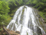 Спрос на туры в Абхазию вырос после президентских выборов