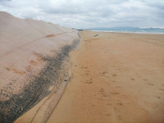 РСТ: пляжи в Анапе могут быть подготовлены к приему туристов в июне