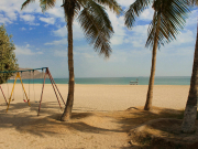 Спрос на туры в ОАЭ вырос вдвое