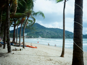 Чартеров в Таиланд этим летом будет меньше