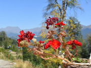 Без Анапы: какие туры по стране покупают туристы на июньские праздники