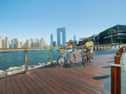 Последний шанс сказать Дубаю всё, что вы думаете