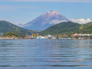 Стоимость туров на Камчатку выросла, а спрос на поездки снизился