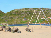 Нелегальные китайские гиды в Мурманске переманивают даже российских туристов