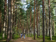 Минэк: внутренний турпоток за полгода вырос почти на 7%