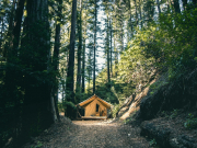 Нет интернета — нет туристов: заповедники и нацпарки лишатся части средств размещения