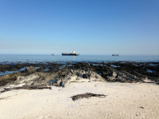 Новый разлив нефти: какие курорты под угрозой