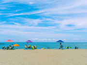 Куда российские туристы поедут отдыхать этой зимой