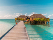 Мальдивы «увели» российских туристов у Турции