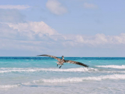 Российские туристы не смогли попасть на кубинский курорт Ольгин из-за урагана