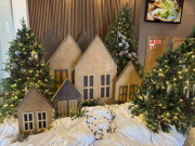 Анапа в топе: как меняется спрос на зимние туры по России из-за цен