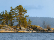 Отдых в Карелии на Новый год подорожал на 20%