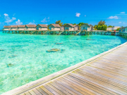 Продажи новогодних туров на Мальдивы выросли вдвое