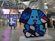 У Red Wings продолжились проблемы с вылетами, а турбизнес предупредили о новых штрафах