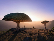 Застрявшим в Йемене российским туристам предложили рейс в Джидду