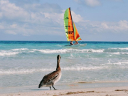 Туристы ставят на паузу бронирования Кубы из-за заявления Дональда Трампа