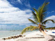 Турбизнес: Кубу заменить нечем — альтернатив нет