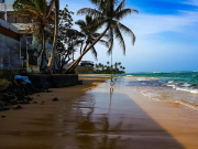 На популярном пляже Шри-Ланки обнаружены нефтяные пятна