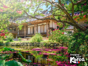 Южная Корея на майские праздники и летом: два тура с русскоговорящим гидом — цветущий Сеул и неповторимый Пусан