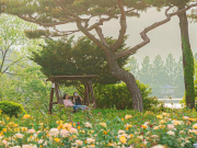 PAC GROUP  собирает группу в Южную Корею на майские праздники