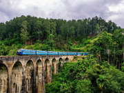 Шри-Ланка планирует ввести бесплатные визы для россиян