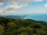 Китайская авиакомпания планирует открыть рейсы из Сочи в Пекин и Шанхай