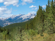 Продажи туров на Алтай на майские праздники просели: в чем причины?