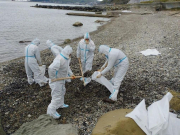 Туапсе готовится к сезону: убрано 17 тыс. кубометров мазута